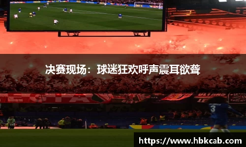 决赛现场：球迷狂欢呼声震耳欲聋